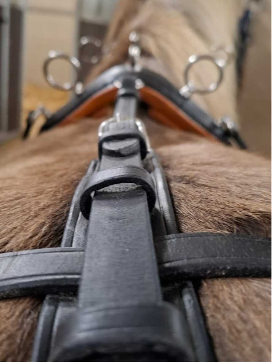 WEISSL Hintergeschirr Einspänner Classic