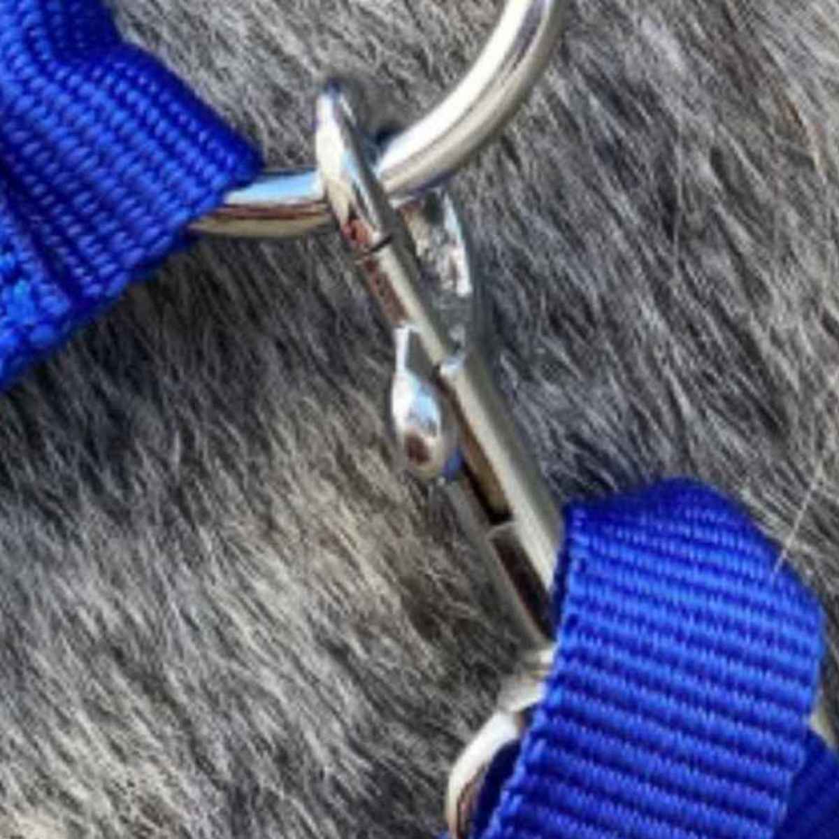 WEISSL Haken Wirbel eckig X-Treme