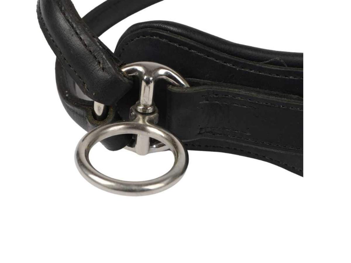 WEISSL Brustblattträger inkl. Halskoppelrimen Einspänner COMBI SPORT