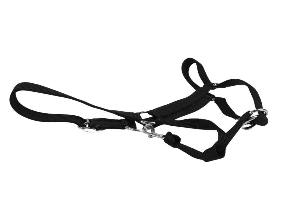 WEISSL Stallhalfter X-Treme