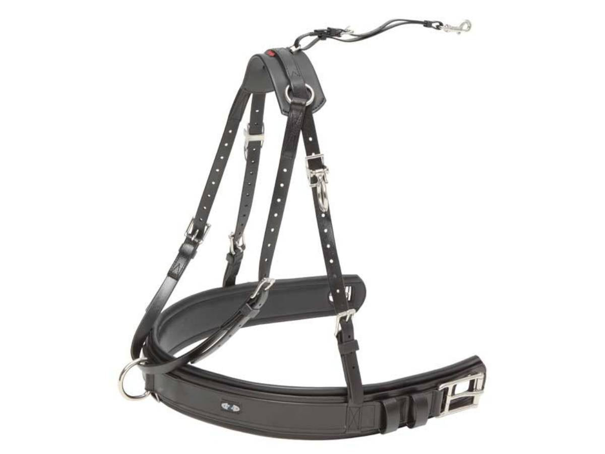 ZILCO Brustblatt Einspänner ELITE / ZGB (Einzelteil)