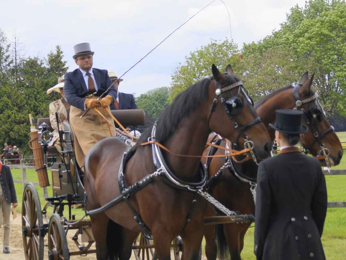 ARDEN Pferdegeschirr englisches Kummet Zweispänner Leder LUX