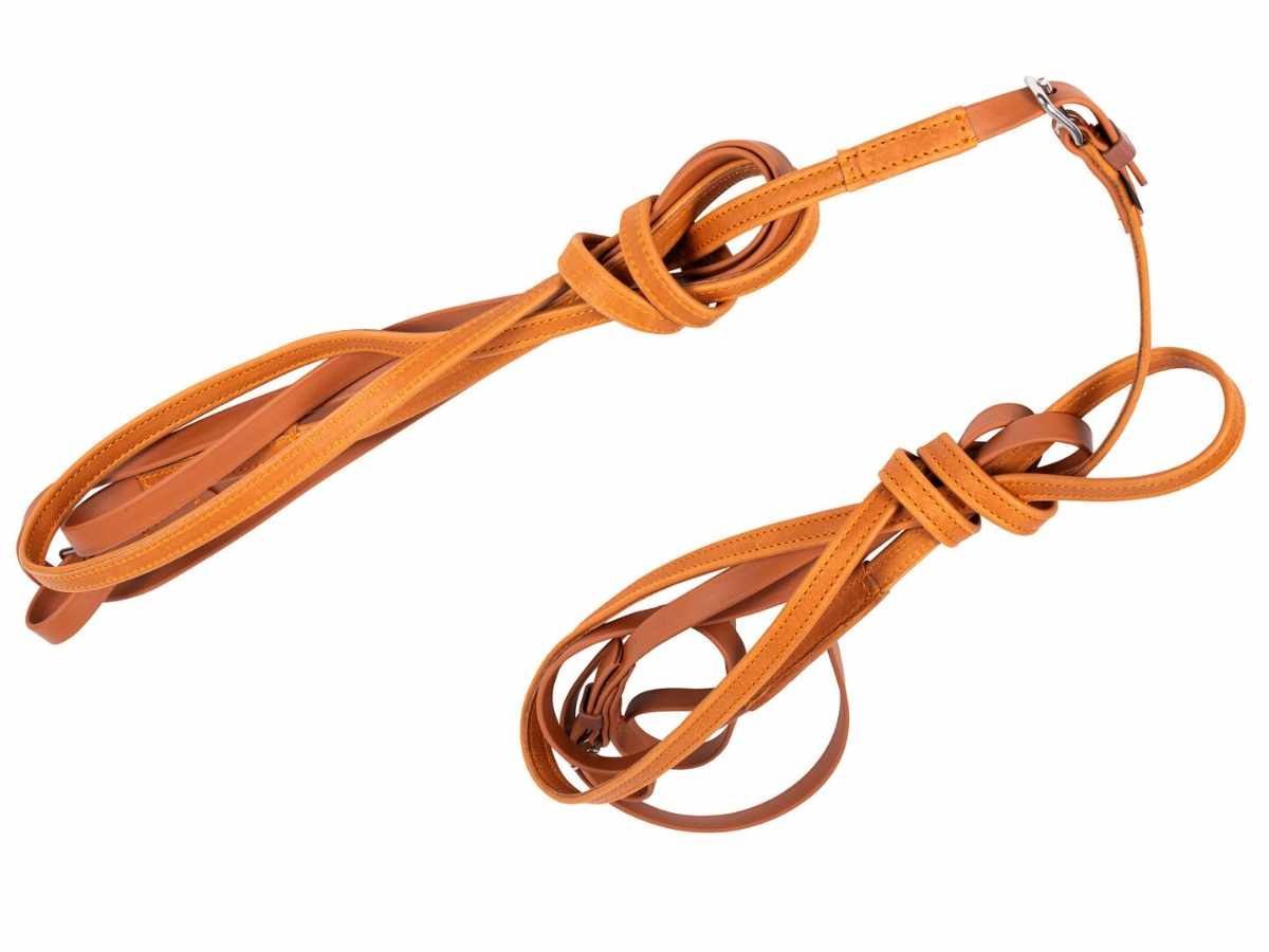 ARDEN Fahrleine Biothane Einspänner mit Softleder Handstück