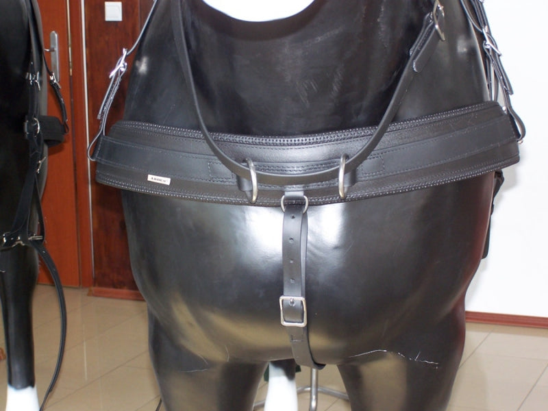 Arden Training Martingal/Sprungriemen