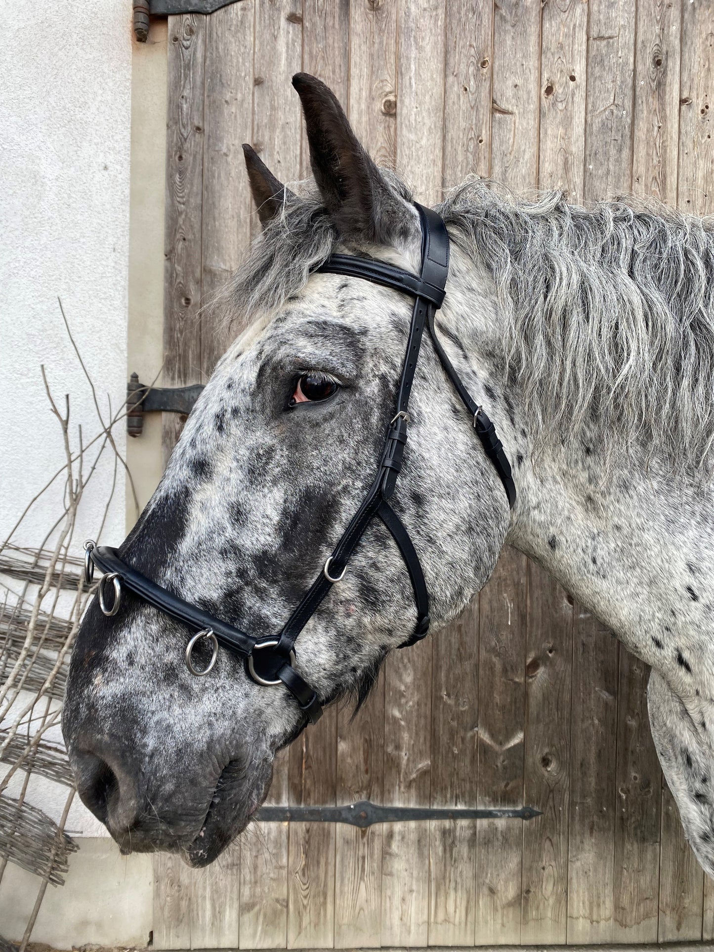 WEISSL kaptoomleer zwart