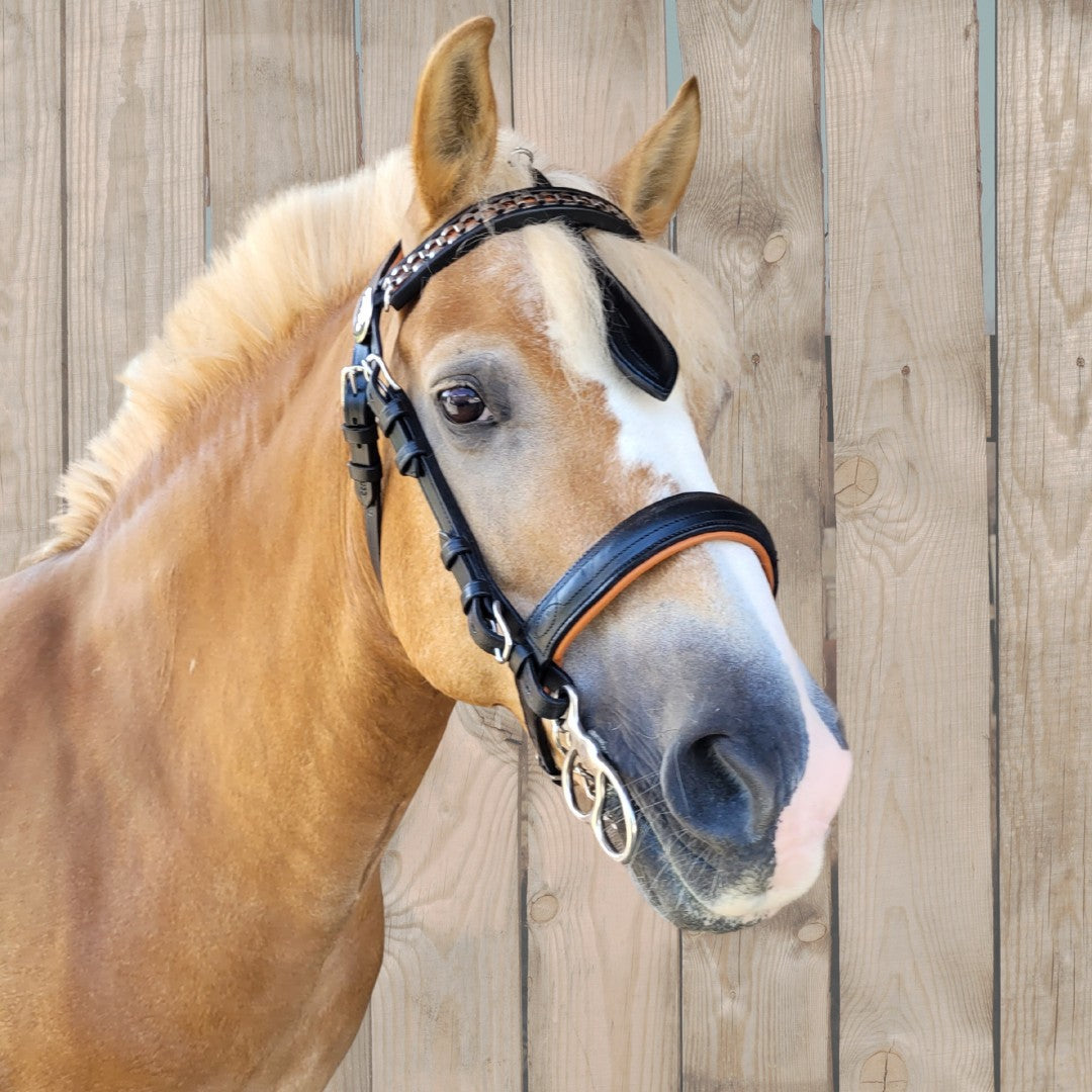 WEISSL menhoofdstel Classic zonder oogkleppen