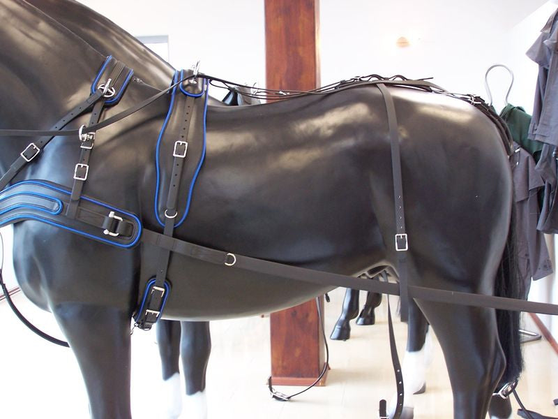 Arden Marathon Biothane 2 Sp. borsttuig anatomisch lang (enkeldelig) bruin met gekleurde bies