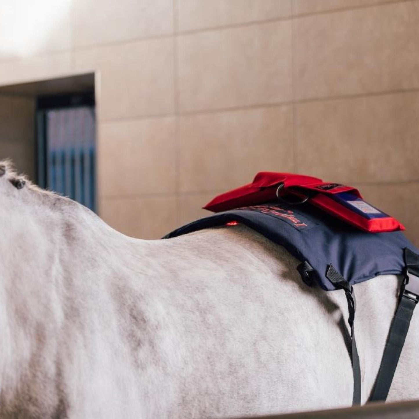 Activomed Powerpad Lichtwellentherapie und Magnetfeldtherapie + Massage Pferd