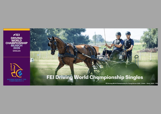 FEI Driving World Championship Singles