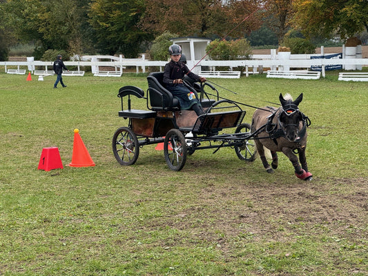 Spannendes Finale des WEISSL Fahrsport Cup 2024 in Plattling