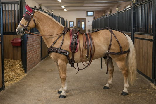 Saisonstart im Fahrsport: Warum dein Geschirr jetzt entscheidend ist