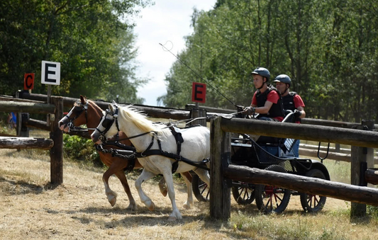 Rheinische Meisterschaften Fahren