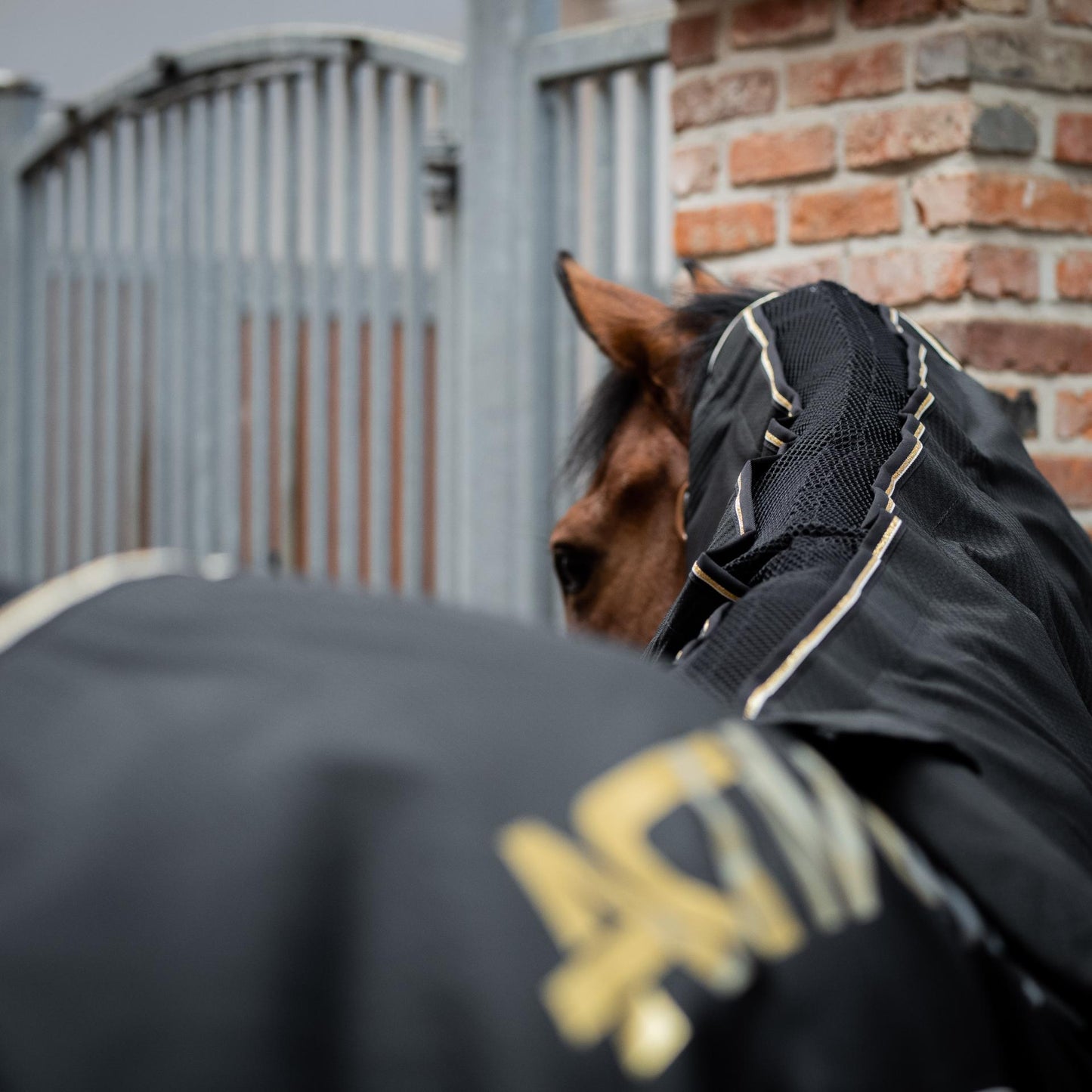 ACTIVOMED Magnetfelddecke + Massage Simply the Best inkl. 2 Stück Gamaschen, Größe XL