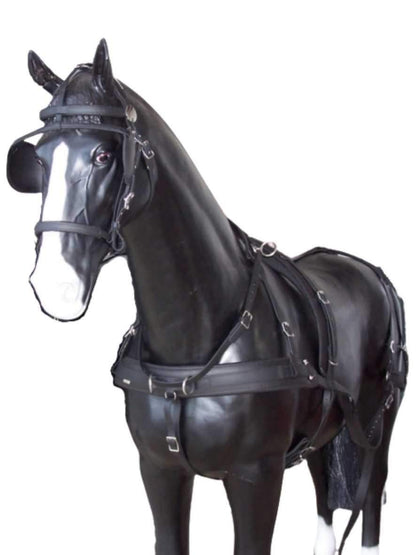 Arden Training Zweispänner Biothane Geschirr mit Hintergeschirr 