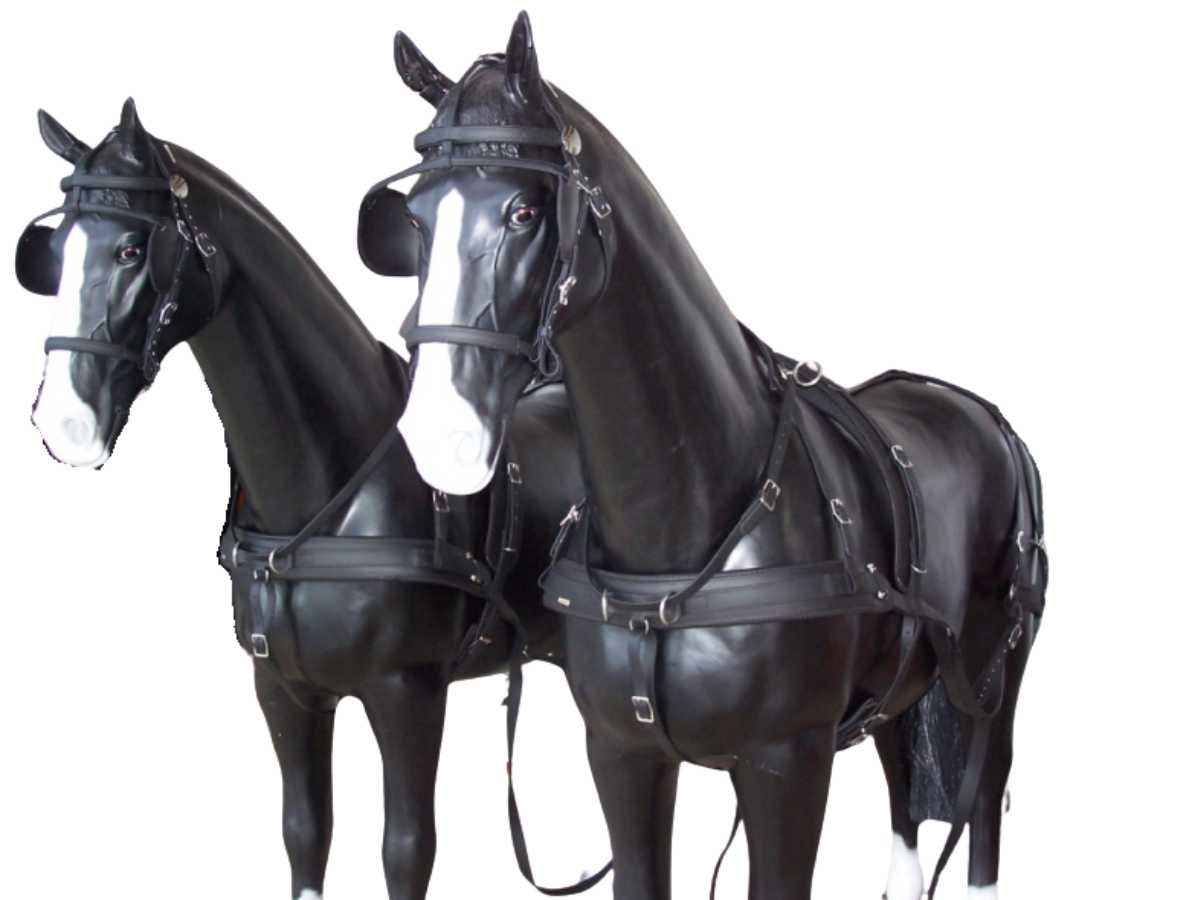 Arden Training Zweispänner Biothane Geschirr mit Hintergeschirr 