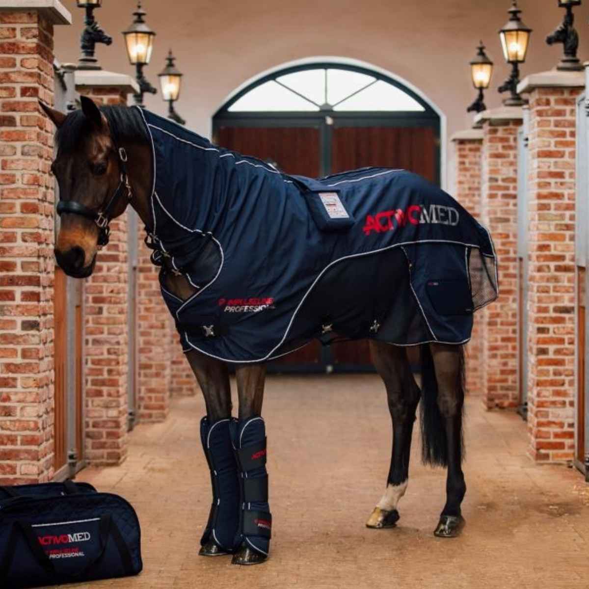 Activomed Magnetfelddecke + Massage Professional