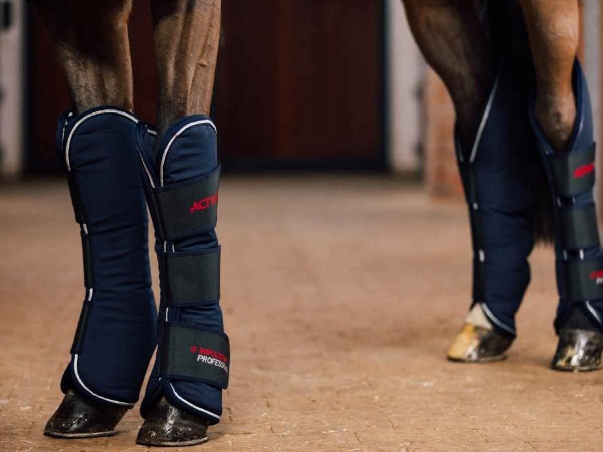 Activomed Gamaschen Professional Magnetfeld V. Model 21