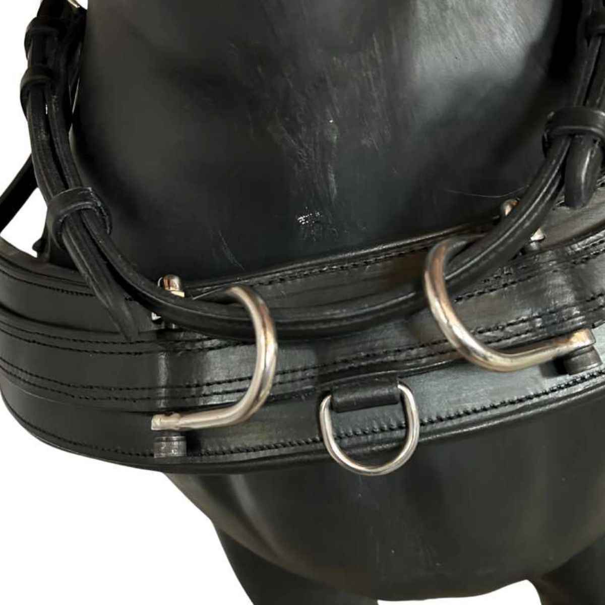 WEISSL Pferdegeschirr Einspänner Brustblatt Combi Sport