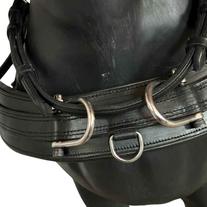 WEISSL Pferdegeschirr Einspänner Brustblatt Combi Sport