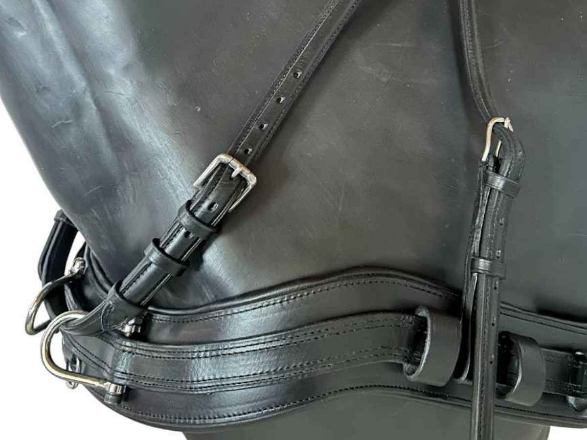 WEISSL Pferdegeschirr Zweispänner Brustblatt Combi Sport