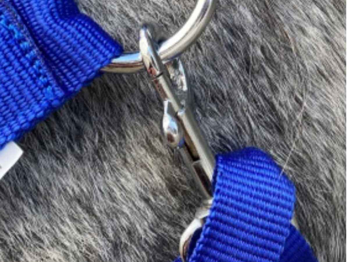 WEISSL Haken Wirbel eckig X-Treme