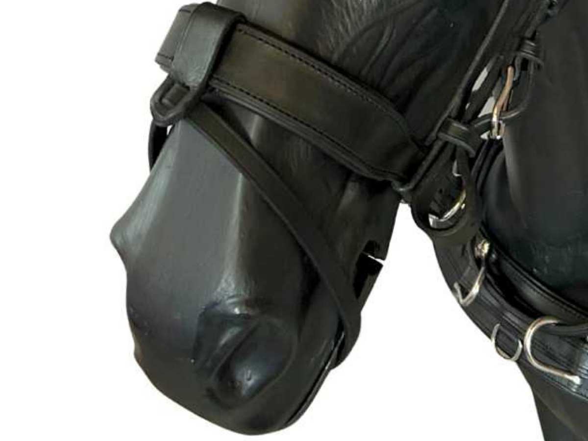 WEISSL Sperrriemen für Fahrzaum, schwarz