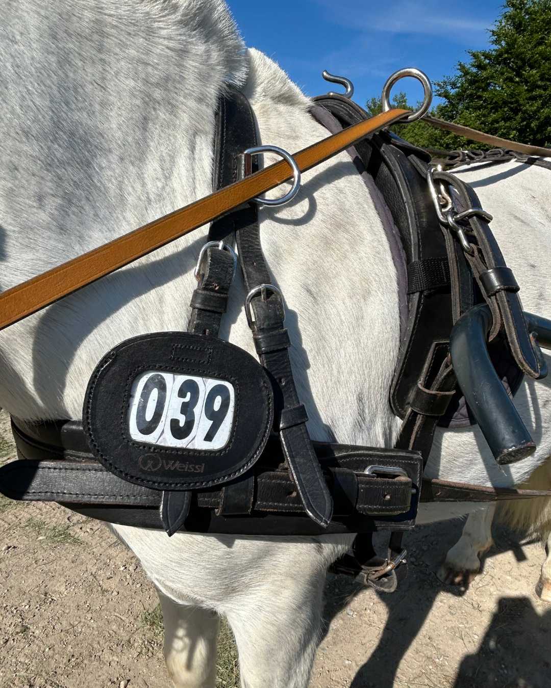 WEISSL Startnummern Leder rund