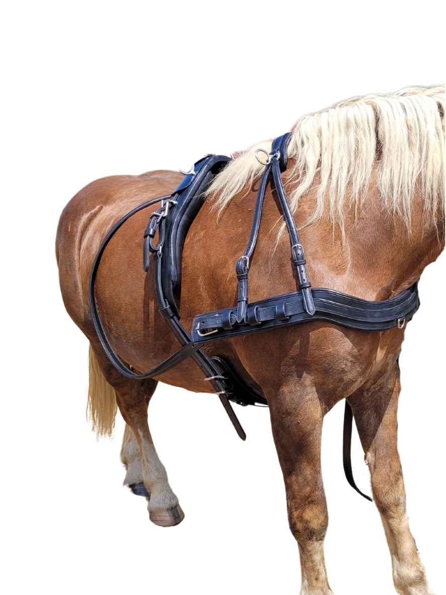 WEISSL Brustblatt Einspänner PRO (Einzelteil)