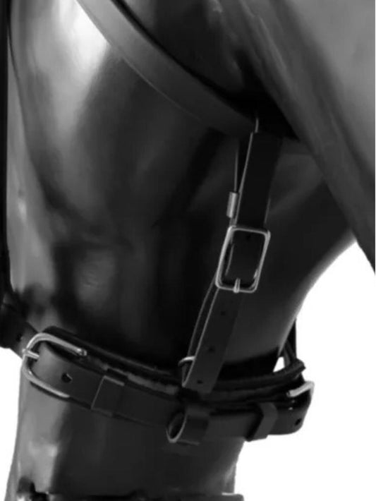 Arden Sicherheitsriemen für Fahrzaum Biothane LUX