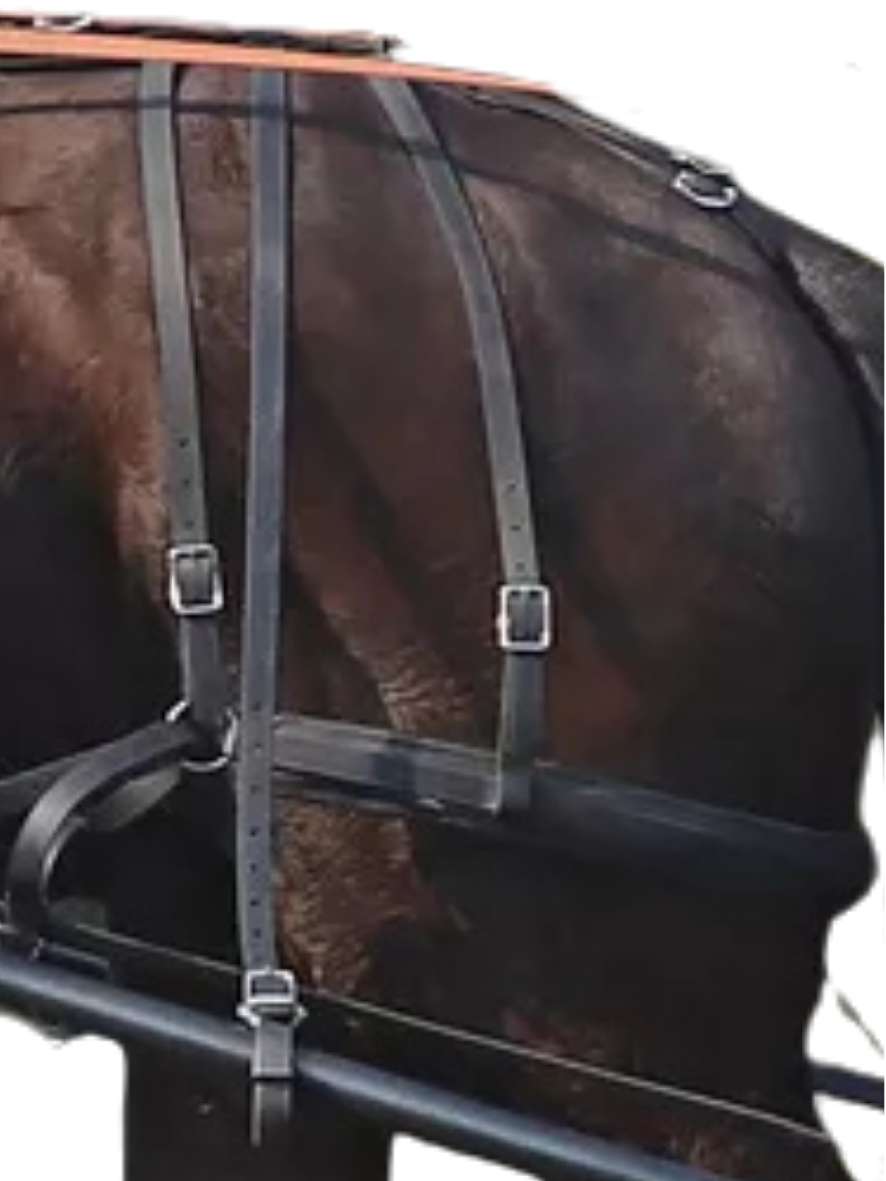 Arden Training Schlagriemen lang