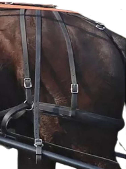 Arden Training Schlagriemen lang