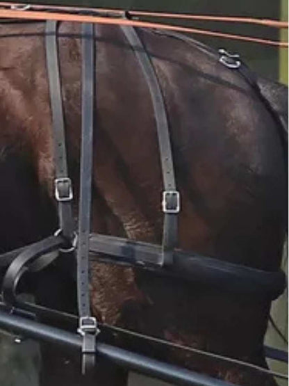 Arden Training Schlagriemen lang