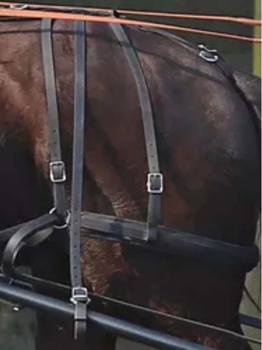 Arden Marathon Biothane Schlagriemen lang 1 Paar 