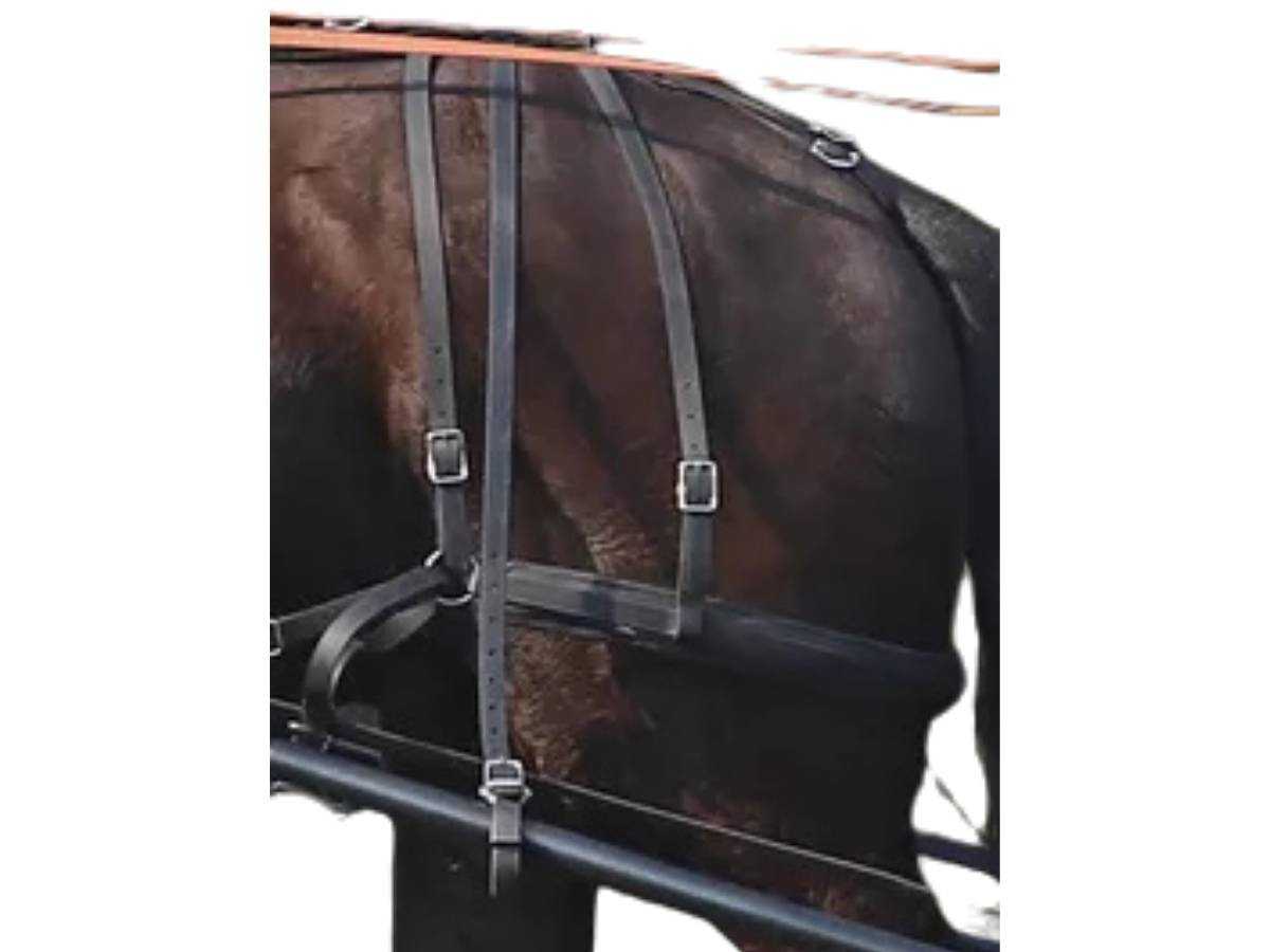 Arden Marathon Biothane Schlagriemen lang 1 Paar 