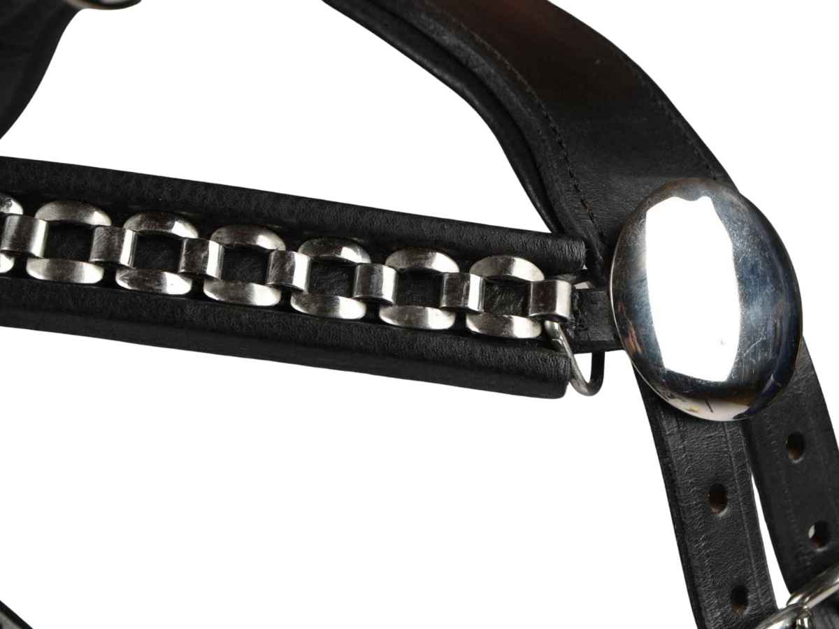 WEISSL Pferdegeschirr Brustblatt Zweispänner PRO