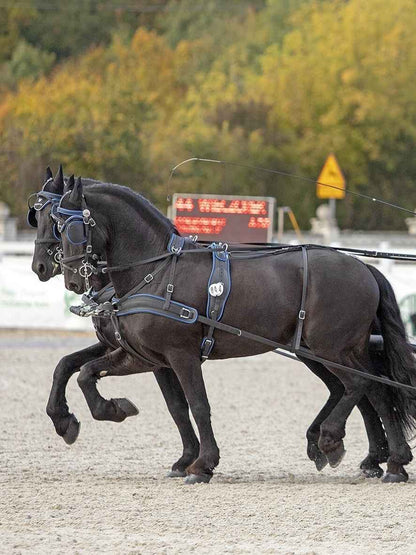 Arden Training Strangträger
