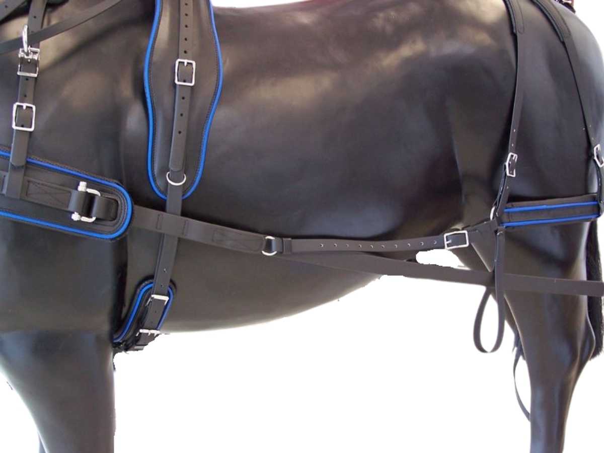 Arden Pferdegeschirr Biothane Marathon Einspänner Brustblatt anatomisch schwarz mit farbigem Keder