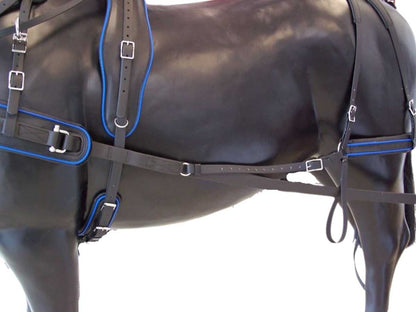 Arden Pferdegeschirr Biothane Marathon Einspänner Brustblatt anatomisch schwarz mit farbigem Keder