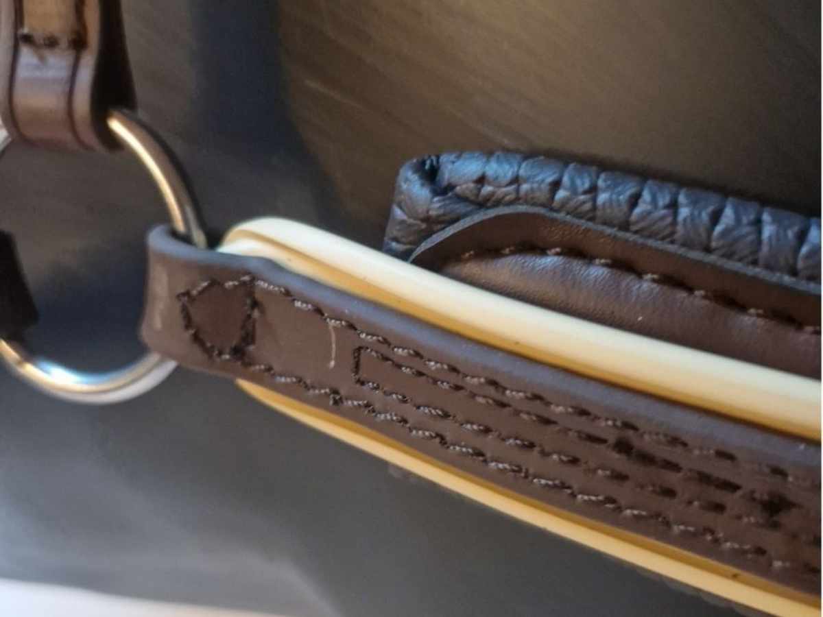 Arden Pferdegeschirr Biothane Marathon Einspänner Brustblatt anatomisch braun mit farbigem Keder