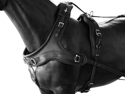 Arden Pferdegeschirr Biothane Einspänner Marathonkummet schwarz mit farbigem Keder