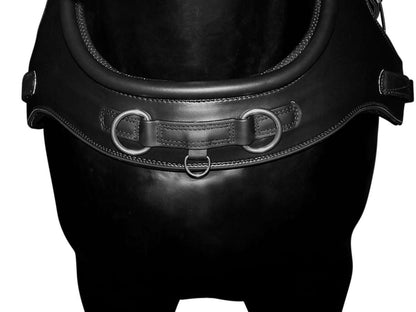 Arden Pferdegeschirr Biothane Einspänner Marathonkummet schwarz mit farbigem Keder