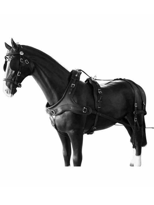 Arden Pferdegeschirr Biothane Zweispänner Marathonkummet mit Strangträger schwarz mit farbigem Keder