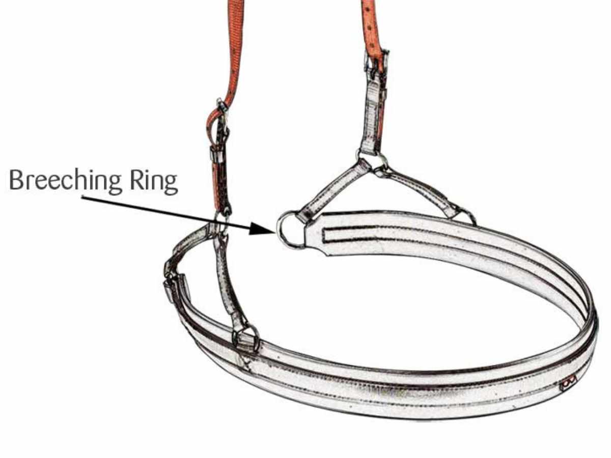 ZILCO Einschnallriemen Rückhalteriemen UNIVERSAL (Paar)