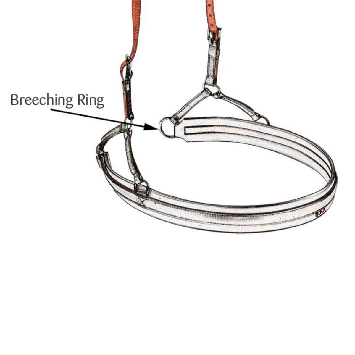 Zilco Einschnallriemen Rückhalteriemen für Zweispänner ZGB (Paar), One Size