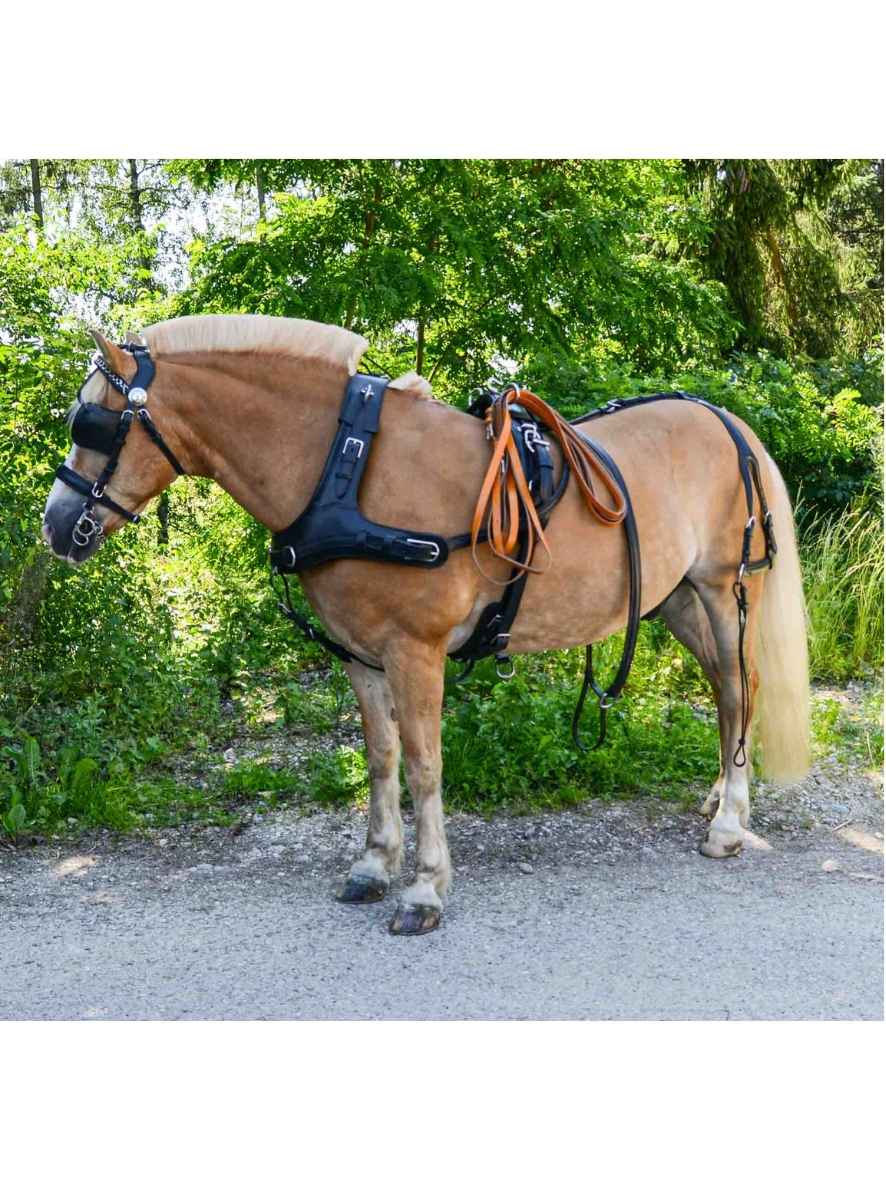 WEISSL Pferdegeschirr Marathon Kummet Einspänner CLASSIC