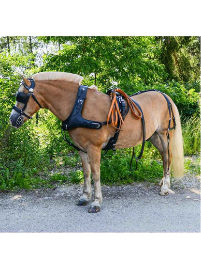 WEISSL Pferdegeschirr Marathon Kummet Einspänner CLASSIC