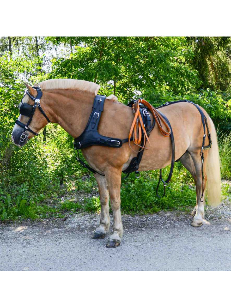 WEISSL Pferdegeschirr Marathon Kummet Zweispänner CLASSIC