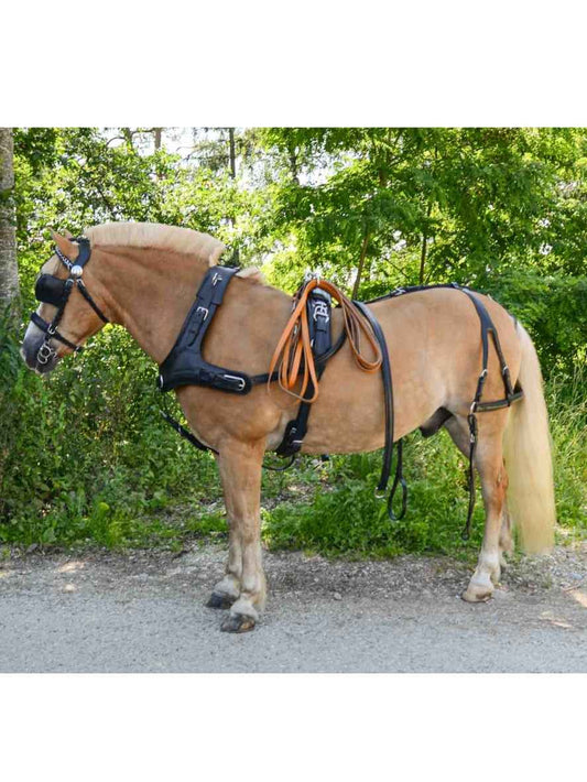 WEISSL Pferdegeschirr Marathon Kummet Einspänner PRO