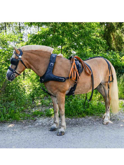 WEISSL Pferdegeschirr Marathon Kummet Zweispänner PRO