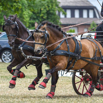 ZILCO Pferdegeschirr Zweispänner CLASSIC